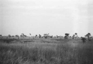 Buschland : Landschaftsaufnahme des Buschlandes.