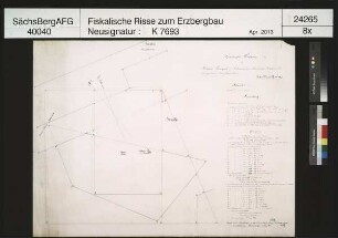 Grubenfeld von Johannes und Therese Fundgrube bei Altrottmannsdorf (Schönfels)