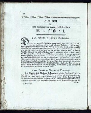 IV. Capitel. Von einer versteinerten zeyungleichschaaligen Muschel.