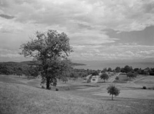 Landschaft am Bodensee bei Überlingen