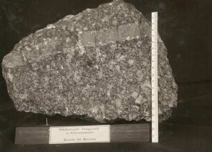 Feinkörniger Ganggranit im grobkörnigen Granit bei Meißen. Dresden: Museum für Mineralogie und Geologie