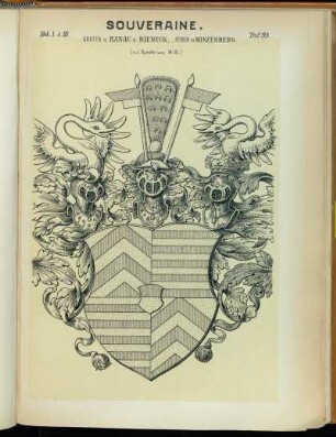 Taf. 95. Grafen v. Hanau u. Rieneck, Herren in Minzenberg. (n.d. Rumohr'schen W.-B.)