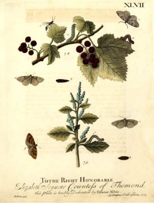 XLVII.