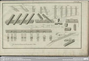 Tab. III. Fig. 39-46