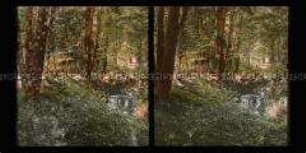 Wald mit Bach oder Quelle und Frau im Hintergrund