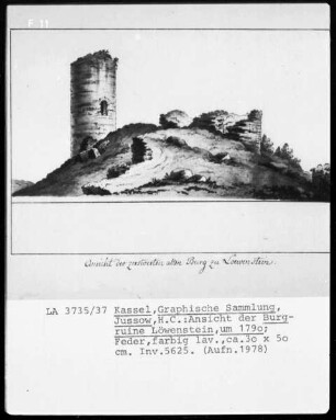 westliche Ansicht der Burgruine Löwenstein