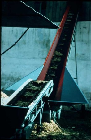 Fotografie: Ein- und Auslagerungstechnik, Hochsilo, Förderband