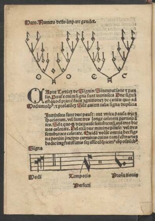 Caput Tertium de Signis ...