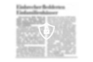 Einbrecher fledderten Einfamilienhäuser