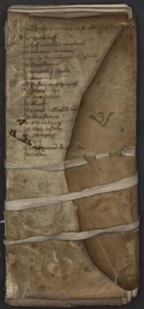 Registrum redituum ecclesiae Pataviensis - BSB Clm 11006