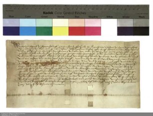 Philipp Schenck zu Schweinsberg, Dechant von Fulda und Propst von Johannesberg, sowie der Dechant und Konvent von Johannesberg verleihen Gehölz und Feld über Hattenhof