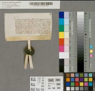 Lehnbrief des Abts Anton von Liesborn für den Pastor Johann Vorwerck zu Harne [Horn] über das Gut zu Smerlike [Schmerlecke], Kemenade genannt, im Kirchspiel Harne [Horn], zu Behuf des Klosters Benninghausen.