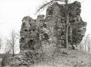 Oschatz. Ruine Schloss Osterland (Bruchstein; 1210/1230, nach 1300 Verfall)
