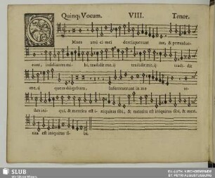 VIII. Omnes amici mei