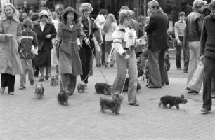 Klub für Terrier e.V. Ortsgruppe Karlsruhe-Hardt. Demonstration gegen "wilden Hundehandel"