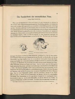 Die Sonderform der menschlichen Nase.