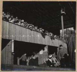 Garmisch-Partenkirchen, Hitlerjugend, Wintersport
