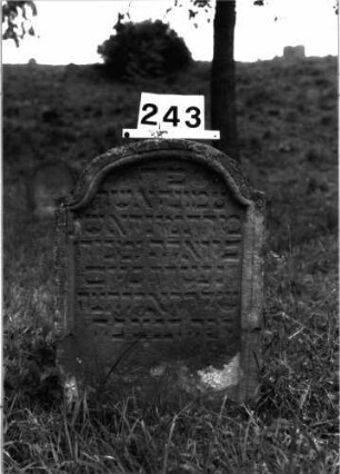 Grabstein 243