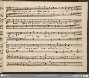 Recitativo: Girar vi veggo cacciatori amati