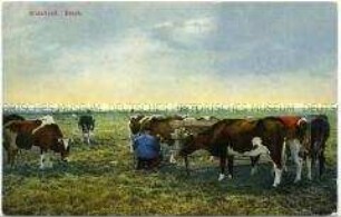 Bauer beim Kühe melken