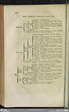 Index methodicus Plantarum incertae sedis