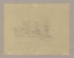 Waldweg bei Braunfels