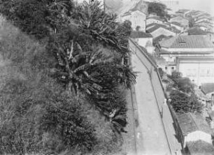 Blick auf die Unterstadt von Bahia
