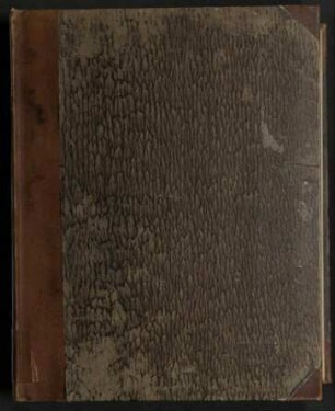 Entdeckungs-Reise in die Süd-See und nach der Berings-Straße zur Erforschung einer nordöstlichen Durchfahrt. - Unternommen in den Jahren 1815, 1816, 1817 und 1818, auf Kosten Sr. Erlaucht des Herrn Reichs-Kanzlers Grafen Rumanzoff auf dem Schiffe Rurick unter dem Befehle des Lieutenants der Russisch-Kaiserlichen Marine