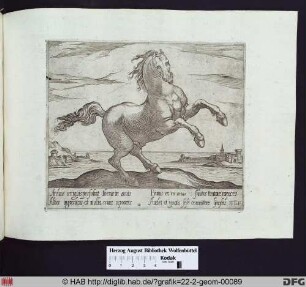 Ein aufbäumendes Pferd, nach rechts gerichtet, vor einer Meereslandschaft.