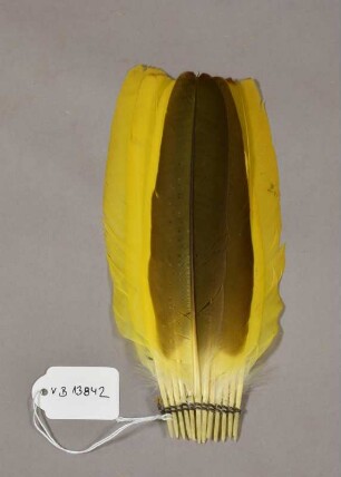 Federschmuck