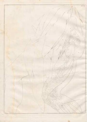 Arterien und Muskeln im Oberschenkel (Lineartafel)