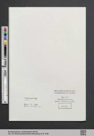 Ginsberg, Ilse