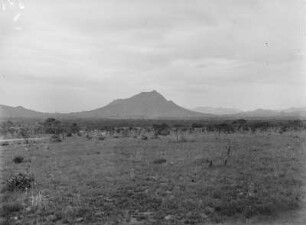 Vegetation und Berg : Vegetationslandschaft und Bergspitze