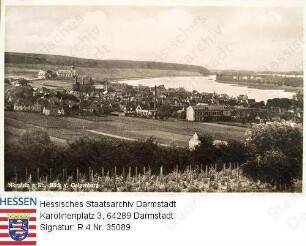 Nierstein am Rhein, Ansicht vom Galgenberg