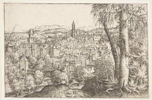Ansicht von Steyr an der Enns