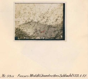 Foto des Fosses-Waldes bei der Chambrettes-Schlucht (Luftbild)