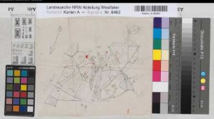 Hesseln (Halle) Vermessung der Hesseler Heide Entwurf (1773) o.M. (1 : 2400) 21 x 24,5 Zeichnung (Reinhold) Spez.Verz. Markenkarten X Nr. 57