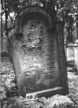 Grabstein 893 (Index: 99899357) Material: Sandstein Zustand: teilweise stark verwittert Maße HxBxT: 138x76x17 cm Beschreibung: Stele mit eingezogenem Rundbogenabschluss: Grabstein 893