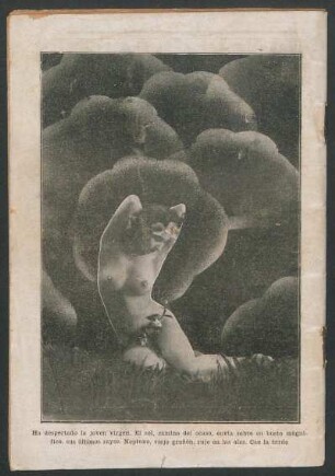 [Ha despertado la joven virgen. - Collage]