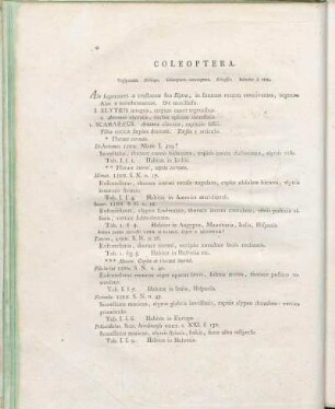 Coleoptera.