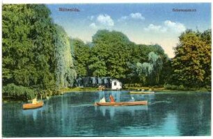 Mittweida. Schwanenteich