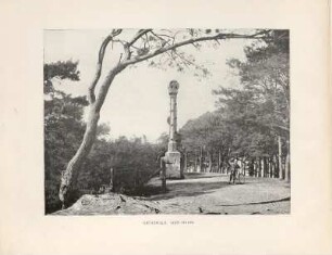 Grunewald. Schildhorn