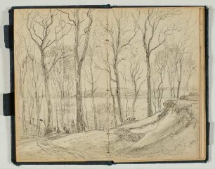 Waldweg