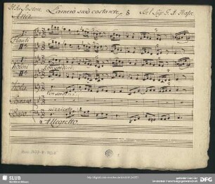 Aria: L'amerò sarò costante
