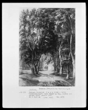 Parklandschaft