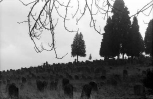 Schmieheim: Judenfriedhof bei Schmieheim