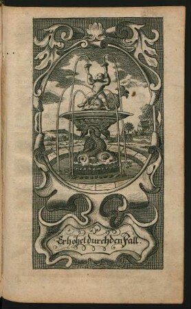 Erhöhet durch den Fall