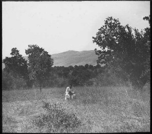 Karmel, el muhraka