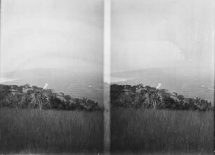 Stereoskopie einer Landschaft : Stereoskopie der Landschaft und Vegetation eines Tals von einer Anhöhe aufgenommen