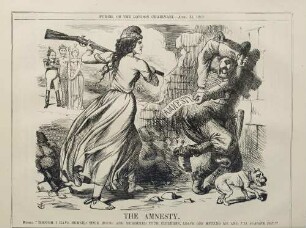 The Amnesty
